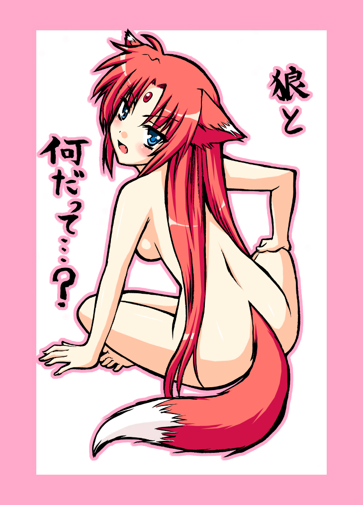 alph animal_ears arf lyrical_nanoha mahou_shoujo_lyrical_nanoha mahou_shoujo_lyrical_nanoha_a's nude parody saki_chisuzu sakichi_suzu tail translated wolf_ears