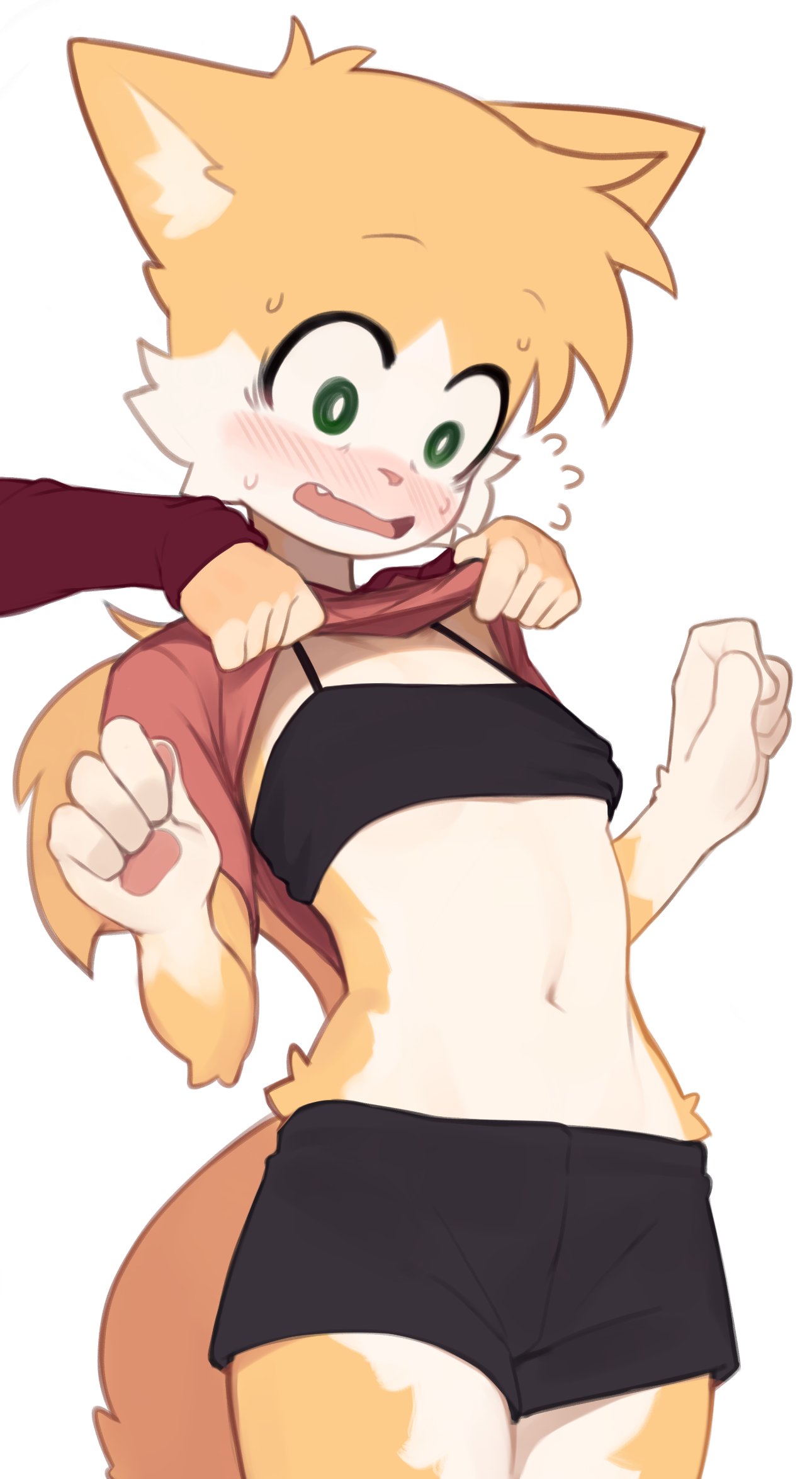 anthro assisted_exposure belly_button blush bra embarrassed midriff riley_(rolo_stuff) shorts tail underboob yoako