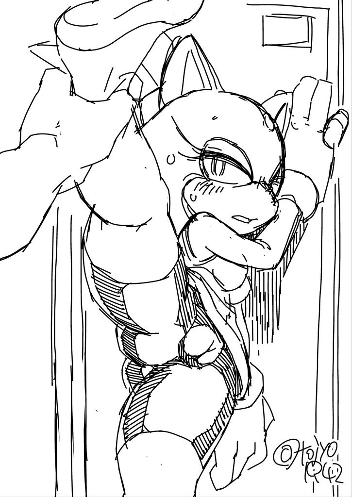 against_wall blaze_the_cat leg_grab leg_lift leg_up pussy sonic_(series) sweat tojyo