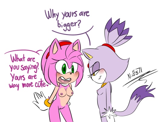 amy_rose blaze_the_cat breasts dialogue female furry nino5571 ninotrash nude pussy sega sonic_(series)