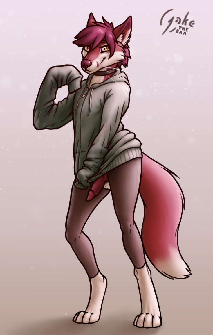 2019 animal_genitalia animal_penis anthro balls canid canine canine_penis clothing collar erection fur girly hair hoodie jakethegoat knot leggings legwear looking_at_viewer male mammal penis simple_background smile solo