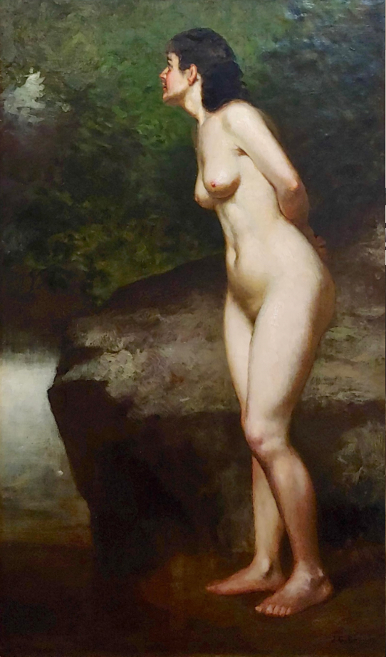 Boobs Rule 34 Image
