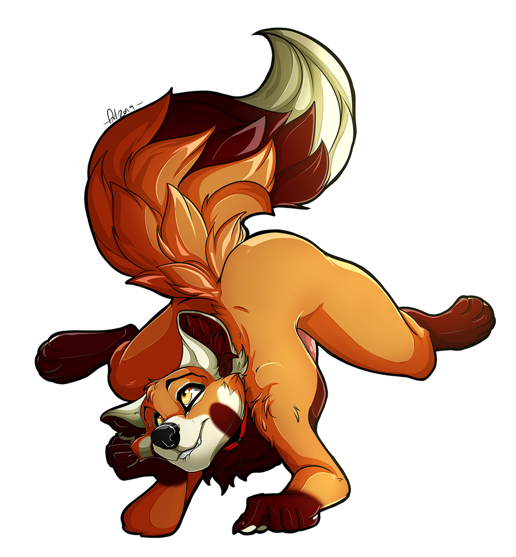 ailurid anthro biting_lip canid canine collar dipstick_tail erection fangs fox fur furkinghell hybrid male male_only mammal multicolored_tail nude red_panda simple_background solo teeth white_background