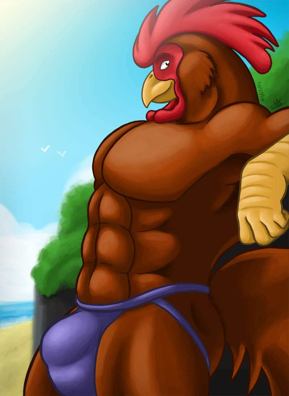 2017 abs anthro avian beach beak big_bulge bird brown_feathers bulge chicken clothing corrsk feathers galliform gallus_(genus) hi_res jockstrap looking_at_viewer male male_only muscular muscular_male outside pecs phasianid seaside smile solo underwear wattle