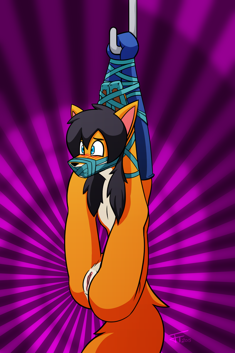 2015 anthro arms_tied black_hair black_nose blue_eyes blush bondage bondage bound canid canine countershading cuntboy flexible fox fur hair hands_behind_head intersex jasentamiia legs_behind_head legs_tied legs_up mammal multicolored_fur muzzle_(object) muzzled nude orange_fur pussy renee_(jasen_tamiia) solo suspension white_countershading white_fur