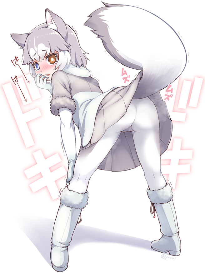 animal_ears ass blue_eyes blush boots cameltoe dog_(mixed_breed)_(kemono_friends) dog_ears dog_tail elbow_gloves female fluffy_tail from_behind gloves heterochromia kemono_friends leaning_forward looking_back multicolored_hair pantyhose pussy_juice silver_hair skirt solo tail tail_raised twitter_username wet wet_clothes wet_pantyhose white_hair white_legwear yamai