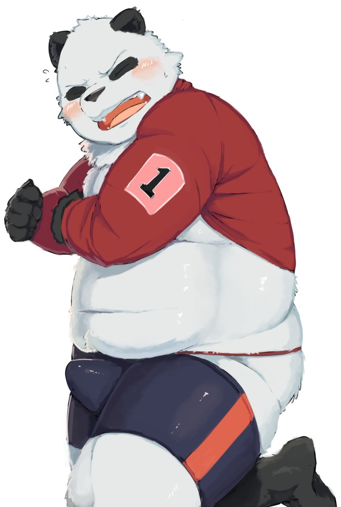 2015 anthro ass belly blush bulge closed_eyes clothing gattatta giant_panda humanoid_hands male male_only mammal navel overweight overweight_male shirt shorts simple_background solo topwear underwear ursid white_background