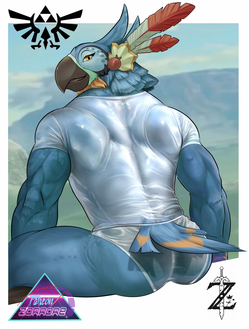 anthro ass avian bird breath_of_the_wild clothing feathers kass_(zelda) looking_at_viewer looking_back male male_only muscular muscular_male nintendo rito shirt sitting smile solo the_legend_of_zelda topwear underwear video_games wet wet_clothing zorrore