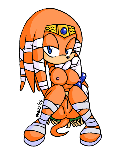 2006 2d anthro breasts echidna female mobian mobian_(species) mobian_echidna nipples praiz pussy sega sonic_(series) sonic_adventure sonic_the_hedgehog_(series) straight_hair tikal_the_echidna