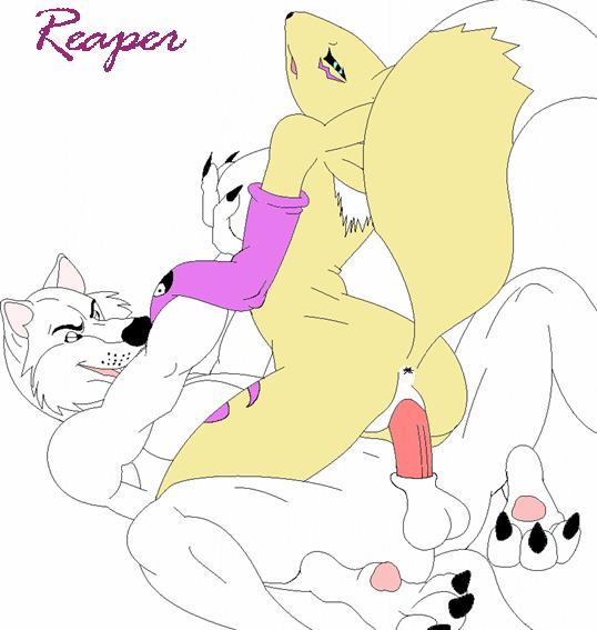 anus ass color digimon female fur furry furry_ass furry_tail interspecies male penis pussy renamon sex straight tail vaginal_penetration vulva