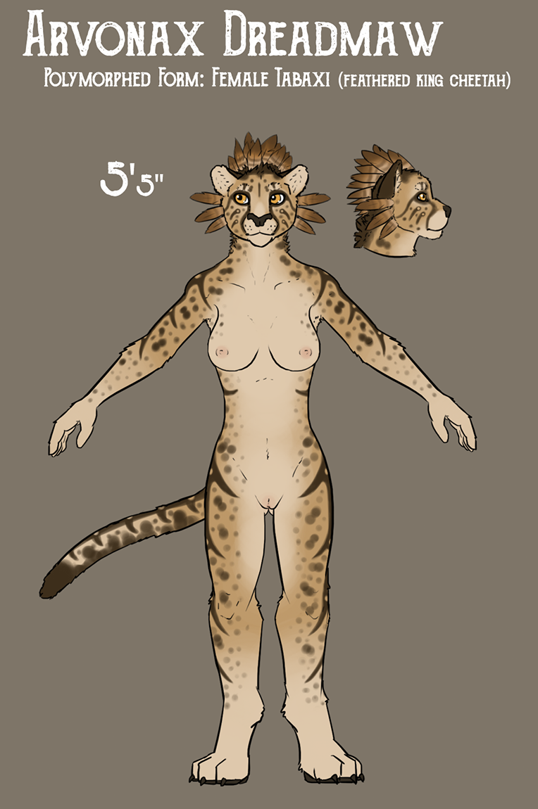 anthro arvie_dreadmaw_(character) breasts cheetah digitigrade dungeons_and_dragons english_text fek felid feline female fur invalid_tag mammal model_sheet nipples nude pawpads paws pussy simple_background solo standing tabaxi text toes