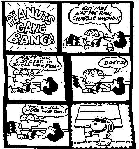 charles_m._schulz charlie_brown lucy_van_pelt peanuts snoopy tagme