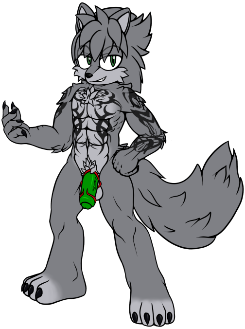 2019 accessory anthro ball_stretcher balls ballsack biceps black_nose canid canine canis cock_ring crown fan_character fur green_eyes green_penis hair humanoid_penis jewelry keryo_wolfe keryo_wolfe_(character) male male_only mammal muscular muscular_male nude pecs penis penis_accessory penis_jewelry scrotum smile snowyowlkonnen solo sonic_(series) wolf