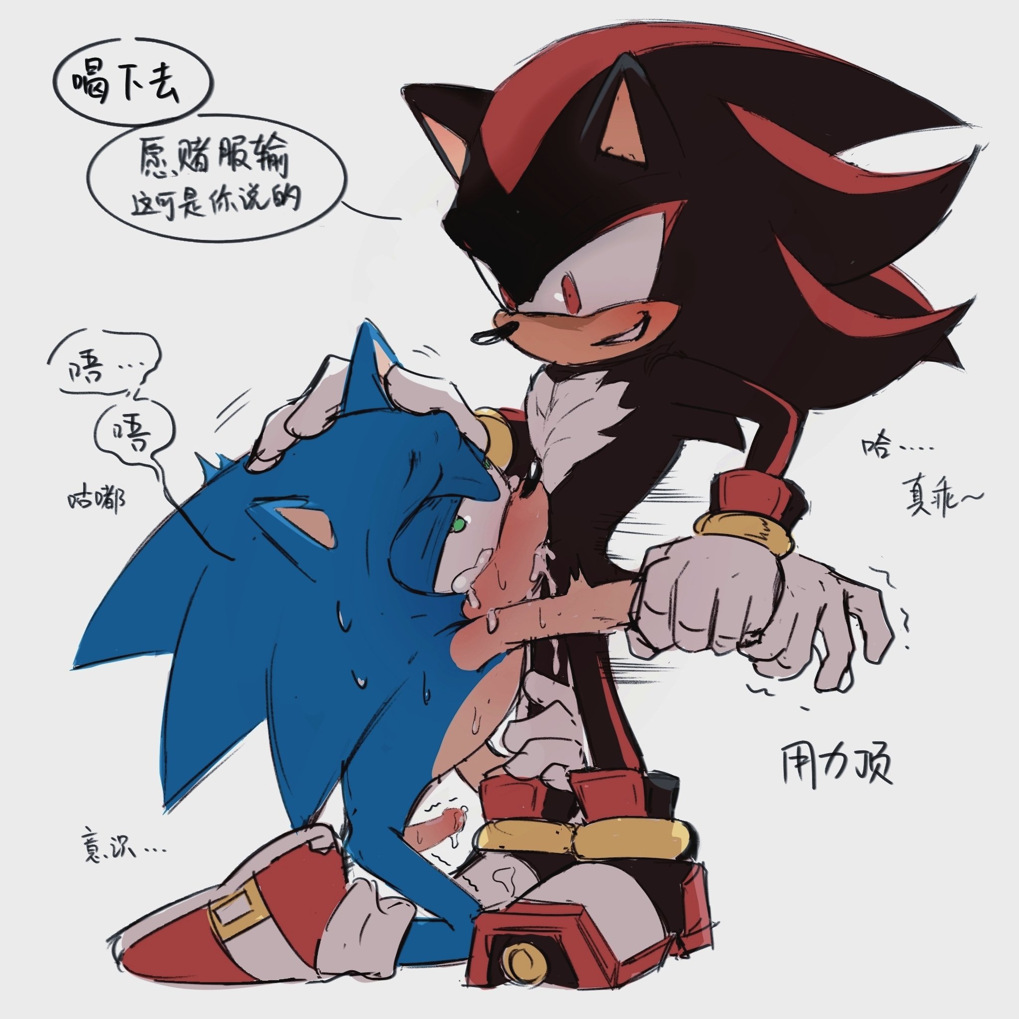 arm pull, black body, black hair, blowjob, blue body, blue hair, chest tuft, cum, cum in mouth, deepthroat, fellatio, forced, forced deepthroat, forced oral, gay, handwear and footwear only, hedgehog, holding leg, klpk ji, male, male/male, me when, mobian (species), on knees, red highlights, shadow the hedgehog, smirk, sonadow, sonic (series), sonic the hedgehog, sonic the hedgehog (series), tears, the when, two-tone hair, white gloves, wristwear, yaoi