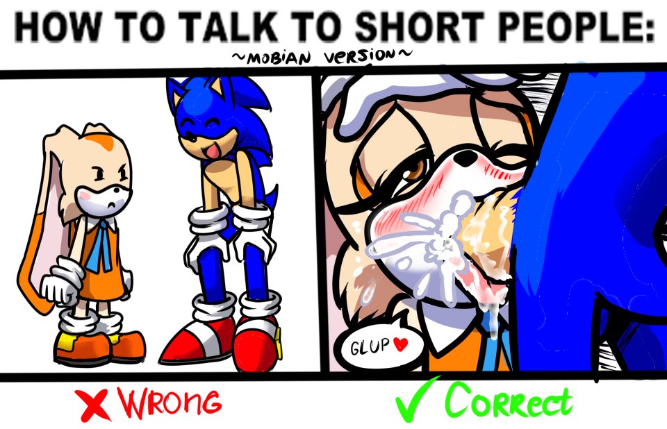 cream the rabbit, cub, cum, cum in mouth, dexstar, exposed torso, female, footwear, hand on head, handwear, how to talk to short people, male, meme, mostly nude, oral, penis, sonic (series), sonic the hedgehog, young