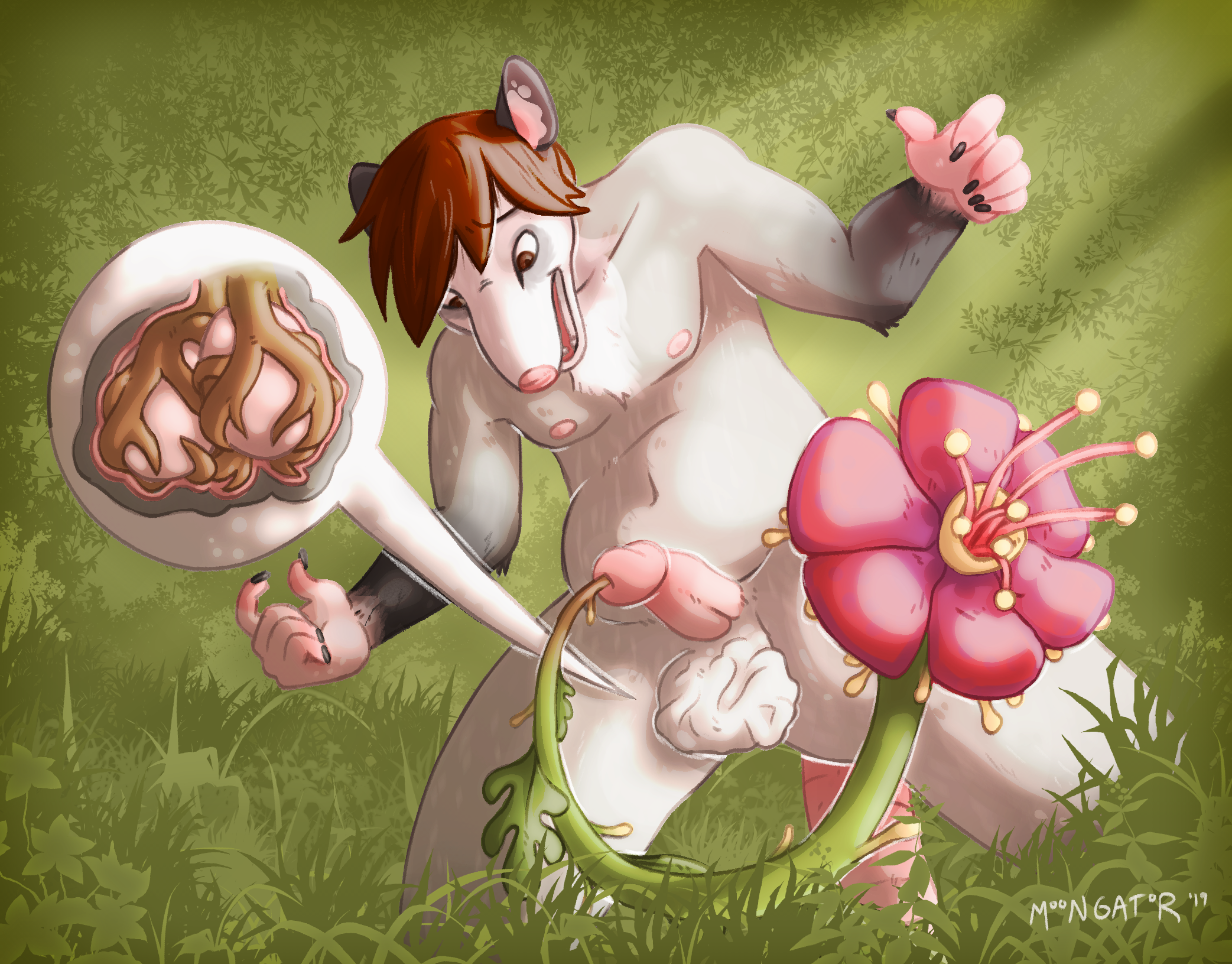 american opossum, anthro, balls, brown eyes, brown hair, didelphid, flower, forced, fur, grass, grey fur, hair, hi res, humanoid genitalia, humanoid penis, infestation, inside balls, internal, kneeling, male, male only, male urethral insertion, mammal, marsupial, moongator, outside, penetration, penile urethral insertion, penis, plant, solace (dread-fox), solo, solo male, urethral, urethral insertion, urethral penetration, vines, virginia opossum