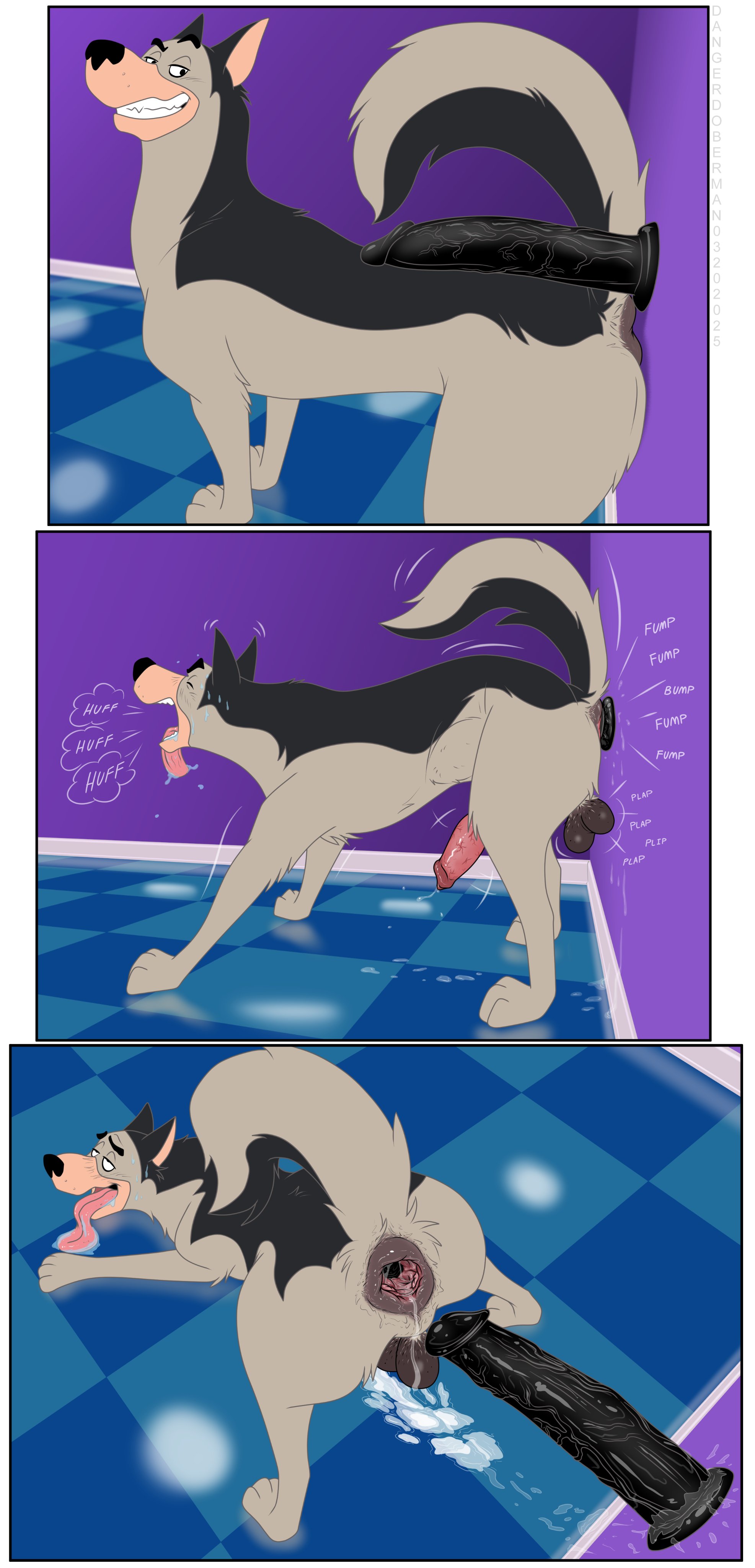anal, anus, balls, canid, canine, canine penis, canis, cum, dangerdoberman, dc comics, dildo, dildo in ass, domestic dog, feral, gaping, gaping anus, krypto the superdog, looking pleasured, male, male only, masturbation, penis, precum, thundermutt, tongue, tongue out