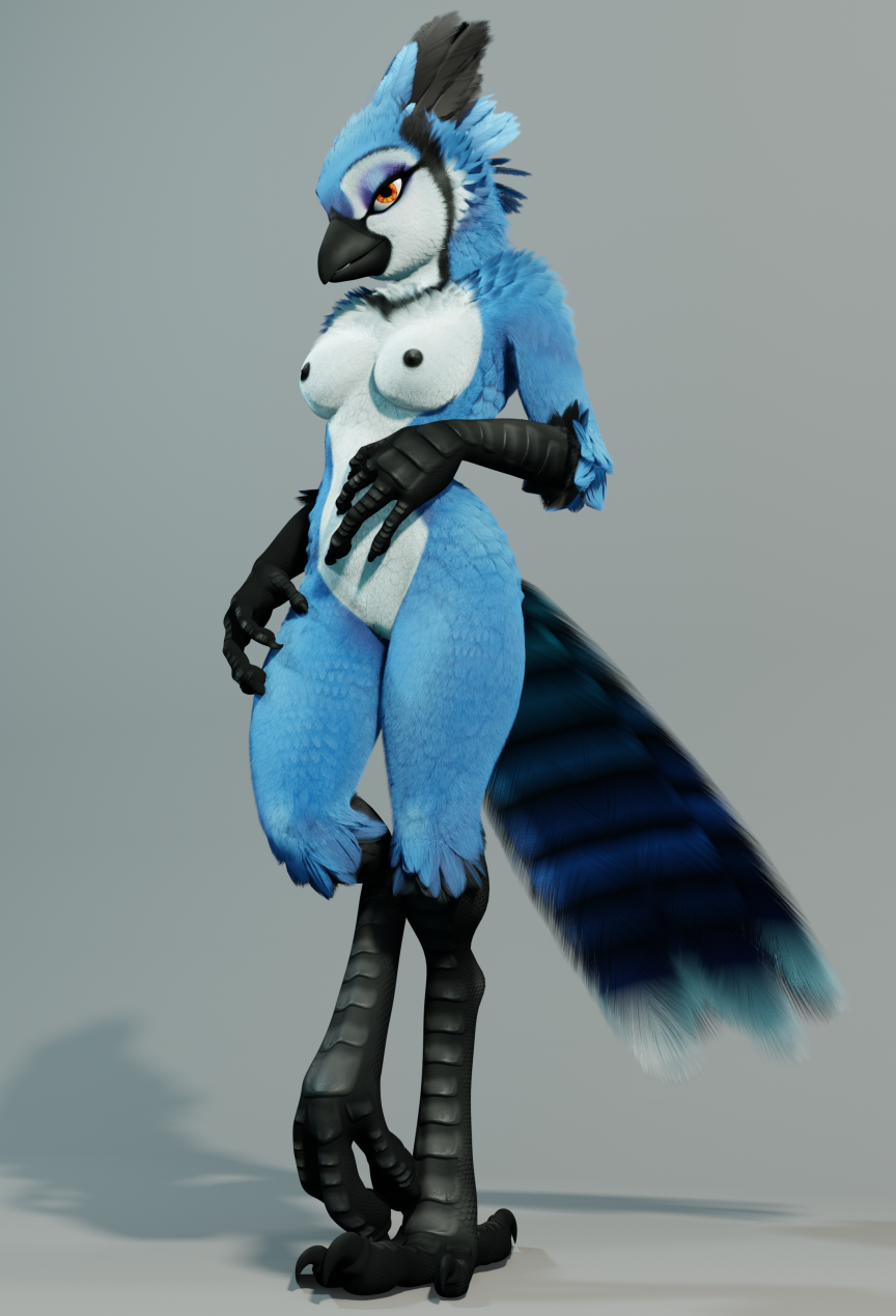 1girls 3d 3d_(artwork) 4_fingers 4_toes abs anisodactyl anthro anthrofied ass avian avian_feet barefoot beak belly bird bj_(ruaidri) black_feathers black_fur black_nipples black_tail blue_feathers blue_fur blue_hair blue_jay blue_pussy blue_tail bottomless breasts corvid digital_media_(artwork) eyelashes feathers featureless_crotch feet female female_only full_body furry half-closed_eyes hi_res jay_(bird) legs looking_at_viewer makeup new_world_jay nipples non-mammal_breasts nude orange_eyes oscine passerine pussy ruaidri simple_background solo standing tail thick_thighs toes white_feathers white_fur wide_hips wings yellow_eyes