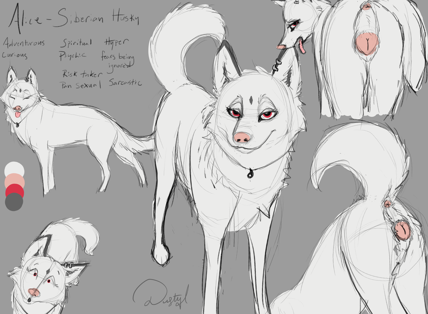 a_dusty_wolf albino anatomically_correct animal_genitalia animal_pussy anus canid canine canine_pussy canis domestic_dog ear_piercing ear_ring female feral flagging husky jewelry mammal model_sheet necklace nordic_sled_dog piercing pussy raised_tail spitz tongue