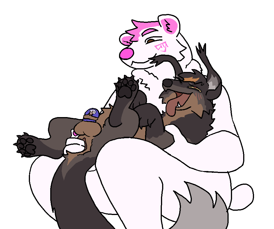 anal anal_fingering animated anthro anus ass balls bear binturong bodily_fluids bryn_(polar_bear) chastity_cage chastity_device duo feral fingering genital_fluids genitals guncht korwin male male/male male_only mammal nude on_lap open_mouth penetration polar_bear short_playtime tail tongue tongue_out ursine viverrid