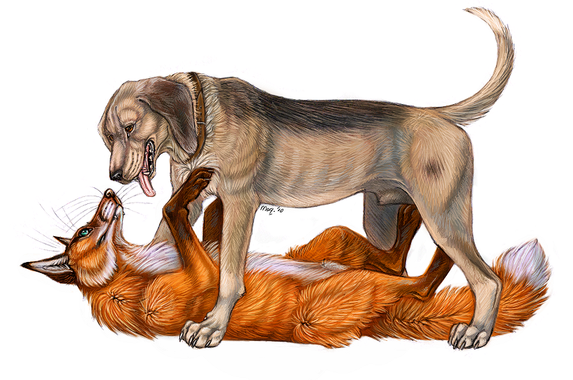 2010 animal_genitalia bloodhound brown_collar brown_eyes canid canine canis casual_exposure cheek_tuft chest_tuft claws collar collar_only copper_(tfath) detailed detailed_fur dewclaw digitigrade disney domestic_dog duo eye_contact facial_tuft fangs feral floppy_ears fluffy fluffy_tail fox fully_sheathed fur fuzzy genitals green_eyes happy hunting_dog looking_at_another looking_down looking_up lying male male/male mammal maquenda neck_tuft nude on_back on_bottom on_top open_mouth open_smile orange_body orange_fur paws quadruped realistic scent_hound sheath side_view signature simple_background smile standing tail tan_body tan_fur tasteful_nudity teeth the_fox_and_the_hound tod_(tfath) tongue tongue_out tuft whiskers white_background