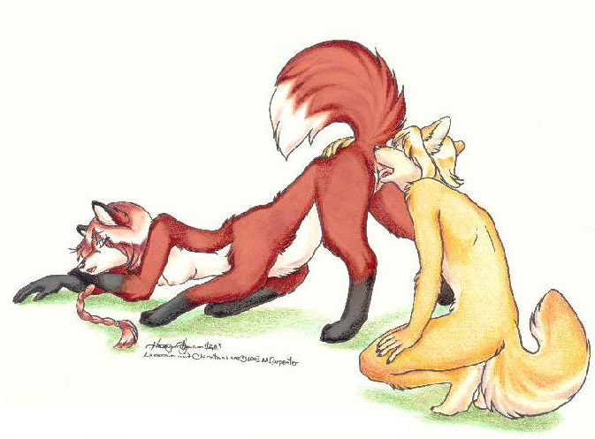 2003 anthro anthro_on_taur blonde_hair breasts canid canid_taur canine canine_taur chiratani closed_eyes cunnilingus dipstick_tail duo female fox fox_taur from_behind fur gloves_(marking) hair kacey lamsain leg_markings looking_back male mammal mammal_taur markings multicolored_tail nipples nude open_mouth oral pink_hair raised_tail sex socks_(marking) straight taur vaginal_penetration yellow_body yellow_fur