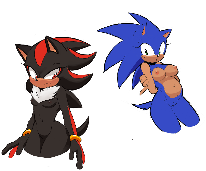 2girls arborialrodent breasts female furry genderswap_(mtf) nude pussy rule_63 sega shadow_the_hedgehog sonic_(series) sonic_the_hedgehog