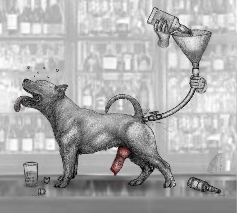 alcohol alcohol_enema anal anal_sex animal_genitalia animal_penis anus bar beverage canid canine canine_penis canis closed_eyes darkmare domestic_dog drunk erection feral knot male male_only mammal muscular nipples penetration penis pit_bull raised_tail solo substance_intoxication tongue tongue_out