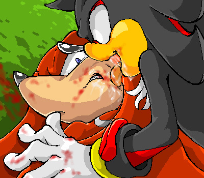 blood knuckles_the_echidna male male_only manaita multiple_males shadow_the_hedgehog sonic_(series) straight_hair tagme yaoi