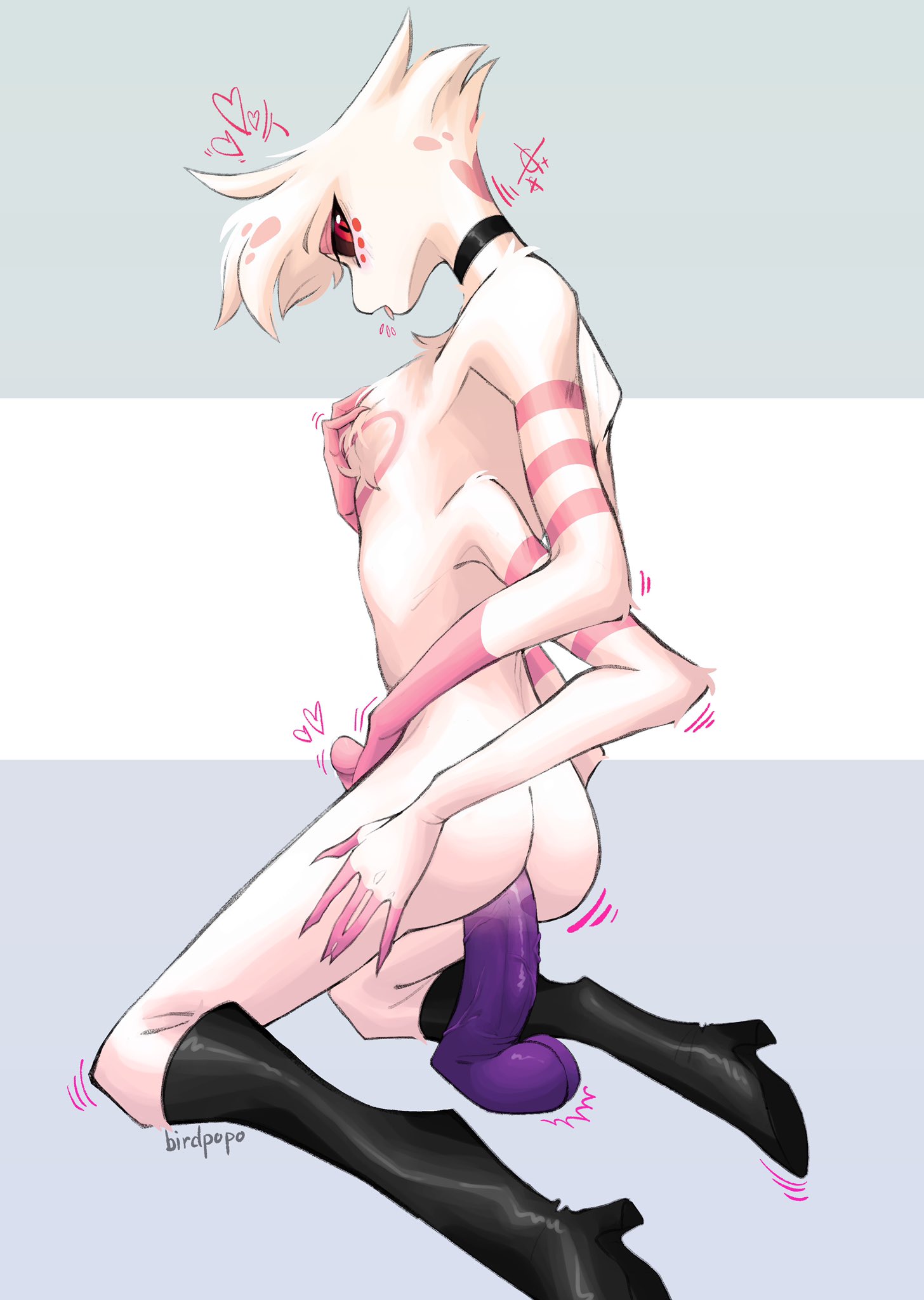 1boy, angel dust (hazbin hotel), animal genitalia, animal penis, arachnid, ass, birdpopo, choker, demon, dildo, erection, femboy, fur, hazbin hotel, looking back, male, naked, nude, penis, solo, solo focus, solo male, spider, thighhighs