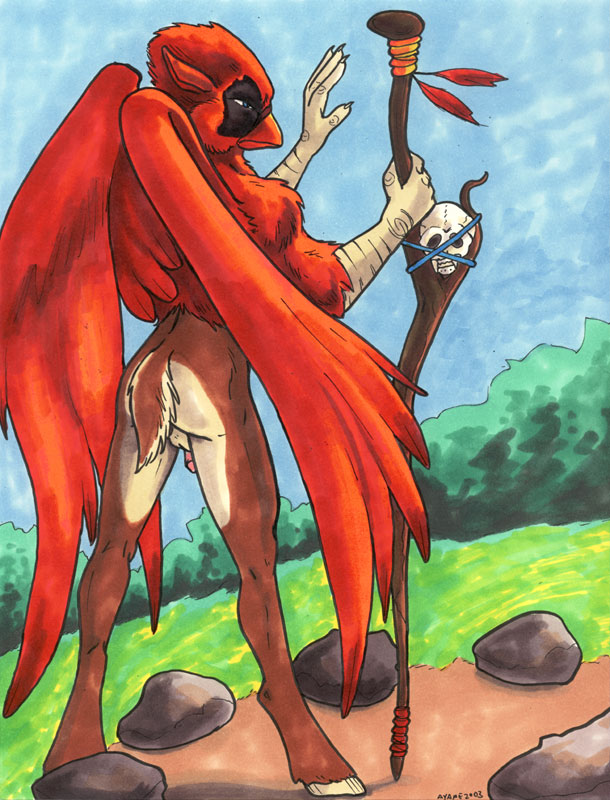 1boy 2003 anthro ass avian ayame_emaya beak bird cardinal_(bird) furry gryphon male outdoors outside penis red_feathers rocks staff tail testicles wings