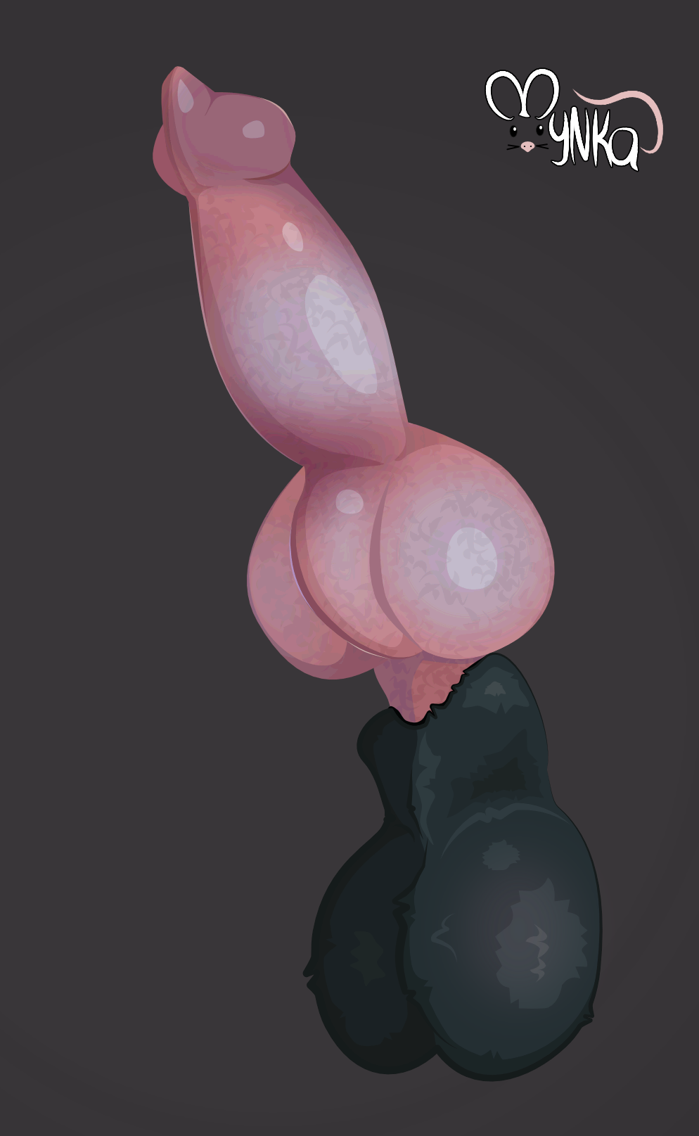 ambiguous_gender anatomically_correct anatomically_correct_genitalia anatomically_correct_penis animal_genitalia animal_penis anthro balls canine_genitalia canine_penis close-up digital_media_(artwork) disembodied_penis erection fur genital_close-up genitals hi_res knot male mynka penis penis_close-up sheath simple_background