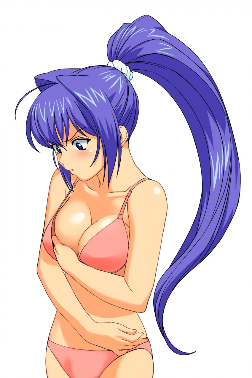 blue_eyes blue_hair blush breasts female kimi_ga_nozomu_eien mitsuki_hayase solo swimsuit tagme