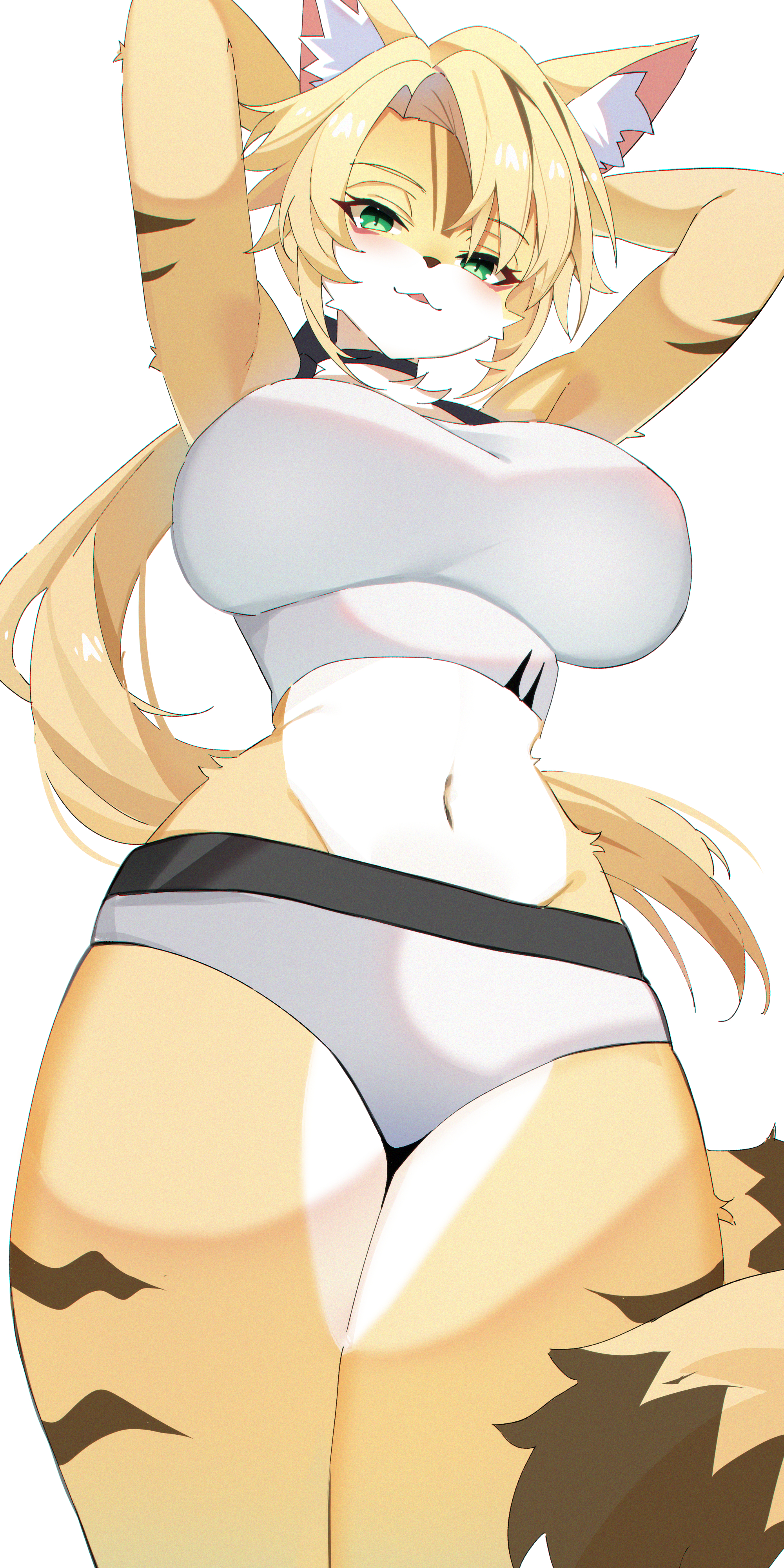 1girl, absurdres, animal ear fluff, animal ears, armpits, arms behind back, arms up, black choker, blonde hair, blush, body fur, breasts, cat ears, cat girl, cat tail, choker, commentary request, fluffy tail, from below, furry, furry female, green eyes, grey panties, grey sports bra, highres, large breasts, looking at viewer, multicolored fur, navel, panties, pulchra fellini, simple background, solo, sports bra, striped fur, tail, underwear, underwear only, white background, yellow fur, zenless zone zero, zhishi hanbao bao