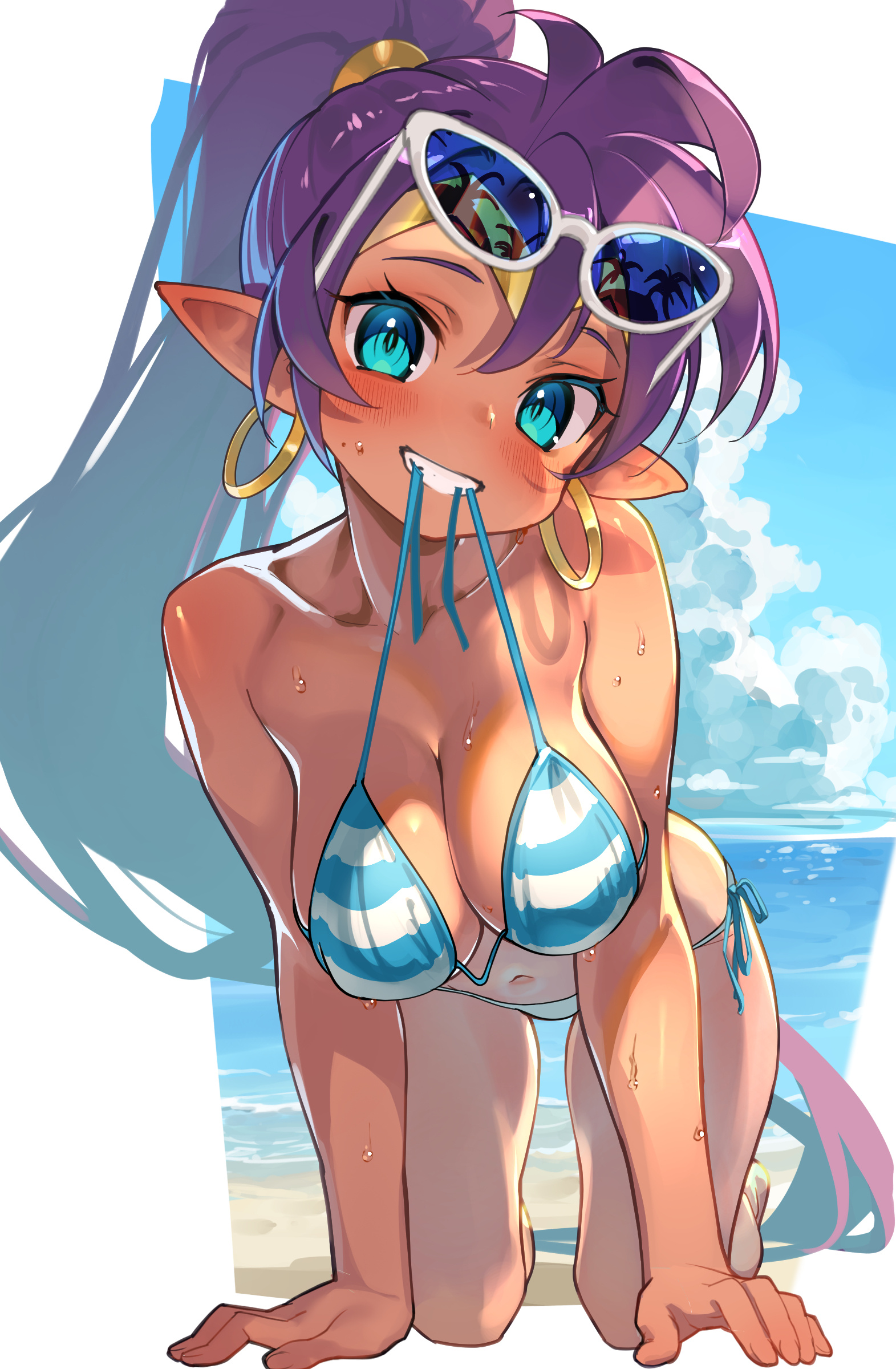 1girls, all fours, bikini, female, female only, large breasts, life is pi, purple hair, shantae, shantae (character), solo, tagme