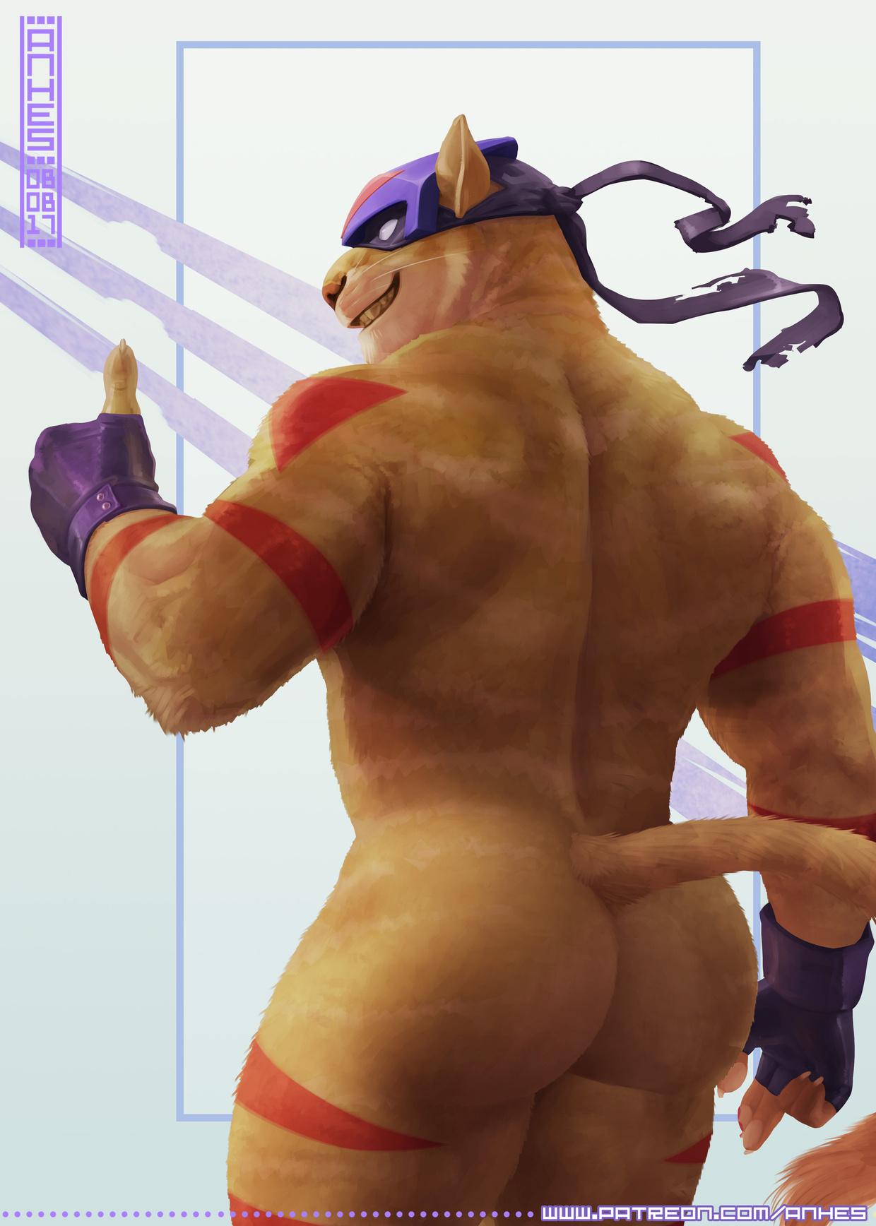 anhes anthro ass back_view bubble_butt butt_focus chance_furlong dat_ass domestic_cat feline furry gay looking_back male male_only mask simple_background smile solo solo_focus swat_kats t-bone t-bone_(swat_kats) tail thumbs_up yaoi