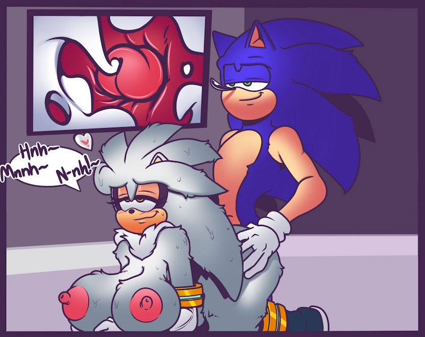 anthro, areola, breasts, cum, cum in pussy, cum inside, doggy style, doggy style sex, doggystyle sex, duo, ejaculate, ejaculating, ejaculating cum, ejaculation, erect nipples, erection, female, genderswap (mtf), hedgehog, huge breasts, male, nipples, orgasm, penis, pussy, rule 63, sex, silver the hedgehog, silvia the hedgehog, smile, sonic (series), sonic the hedgehog, turboranger, vaginal penetration, vaginal sex