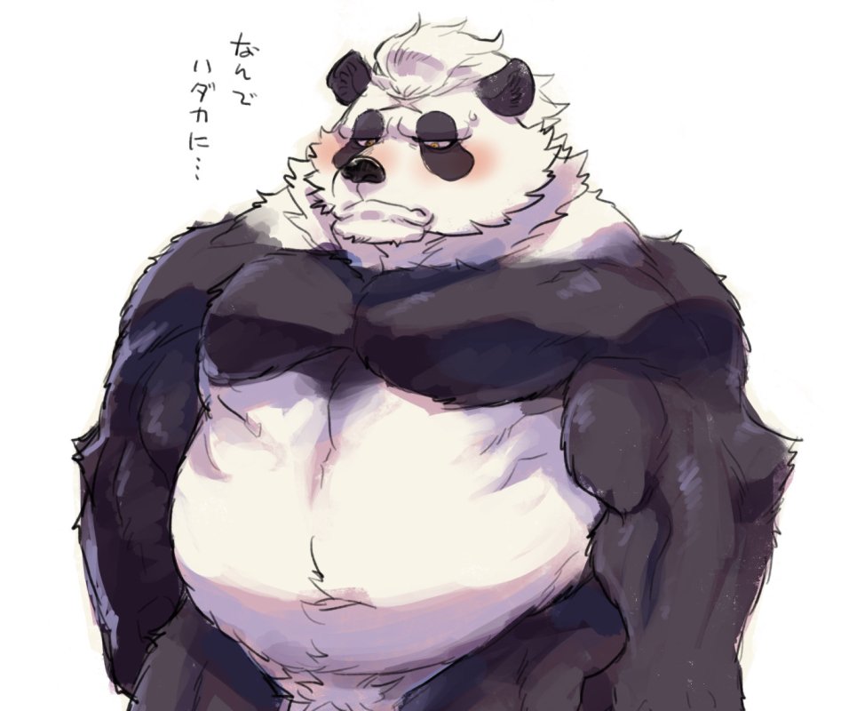 2019 anthro belly black_fur blush fur giant_panda japanese_text male male_only mammal moobs navel overweight overweight_male penis simple_background solo star_parlor star_prn text translated ursid white_background white_fur