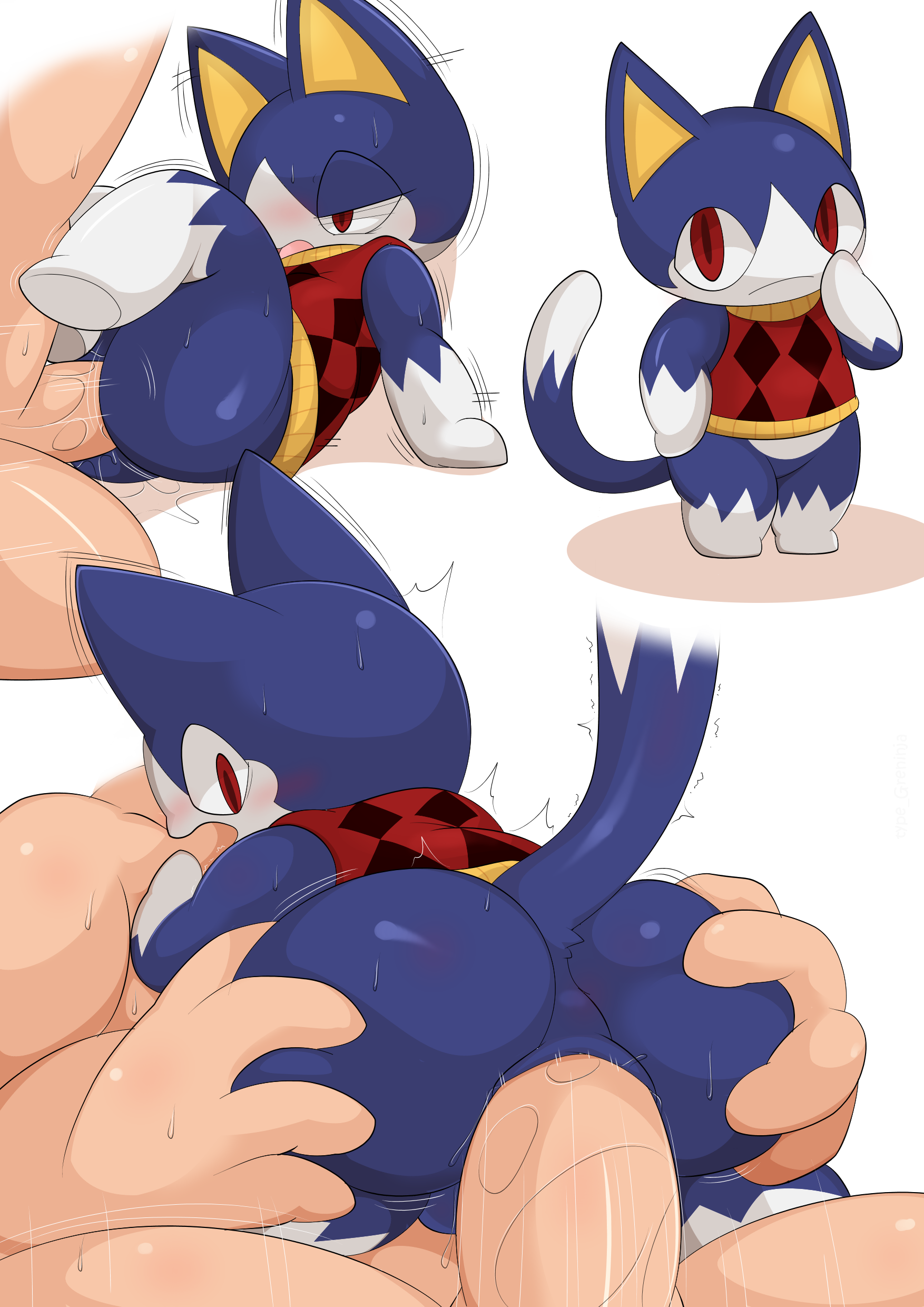 absurd res, anal, anal sex, animal crossing, anthro, anus, ass, ass grab, balls, blue fur, bodily fluids, bottomless, butt grab, clothed, clothing, dipstick tail, domestic cat, duo, erection, felid, feline, felis, fur, gay, hand on ass, hand on butt, hi res, human, human on anthro, interspecies, looking at viewer, looking back, male, male only, male/male, mammal, multicolored tail, nintendo, open mouth, penetration, penis, rover (animal crossing), sex, simple background, size difference, solo focus, sweat, sweatdrop, type, video games, white background