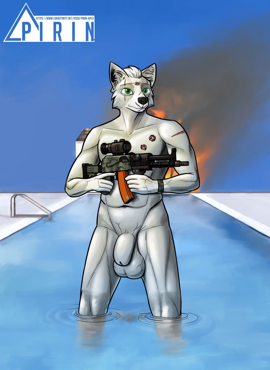 2019 animal_genitalia animal_penis anthro balls black_nose canid canine canine_penis digital_media_(artwork) flaccid fox fully_sheathed fur grey_body grey_fur gun hi_res holding_object holding_weapon male male_only mammal muscular muscular_male outside penis pirin-apex platinum_fox pool_(disambiguation) ranged_weapon red_fox scar sheath solo vein veiny_balls water weapon