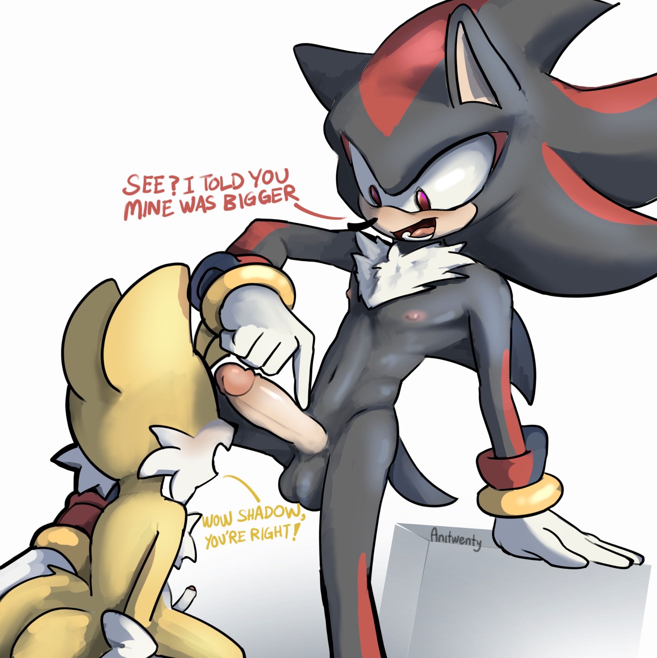 age difference, anitwenty, anthro, cub, dialogue, erection, fox, furry, furry only, gay, hedgehog, imminent oral, male, male cub, male only, male/male, miles tails prower, nipples, older male, penis, penis size comparison, penis size difference, presenting penis, raised leg, shadow the hedgehog, sitting, size difference, small penis humiliation, smaller male, sonic (series), sonic the hedgehog (series), tails, tails the fox, white gloves, young