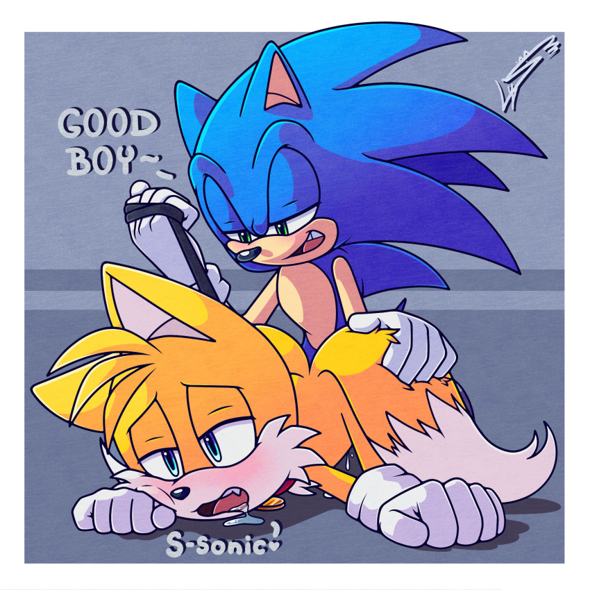 2boys collar cum dominant domination fox fox_ears fox_tail fur gay gay_domination gloves hedgehog male miles_tails_prower penetration rape sega sonic_(series) sonic_the_hedgehog submissive submissive_male tail yaoi