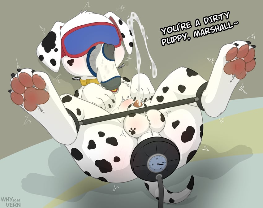 animal genitalia, animal penis, balls, ballsack, bdsm, beastiality, blindfolded, blindfolded male, bodily fluids, bondage, buttplug, canine, canine genitalia, canine penis, collar, cub, cub male, cum, cumming, cumming while penetrated, dalmatian, device, dog, dog ears, dog tail, domestic dog, feral, feral only, feral penetrated, forced cum, forced orgasm, fur, genital fluids, genitals, huge cum, huge cumshot, legs bound, legs tied, little boy, male, male penetrated, marshall (paw patrol), non-human only, nonconsensual, paw patrol, pawpads, paws, penis, possible rape, rape, raped male, sex toy, sex toy insertion, sock on face, socks, spread legs, spreading, text, tied up, twitching, twitching in pleasure, white body, white fur, white hair, whyvern, young, young anthro, young male, younger male, zoophilia