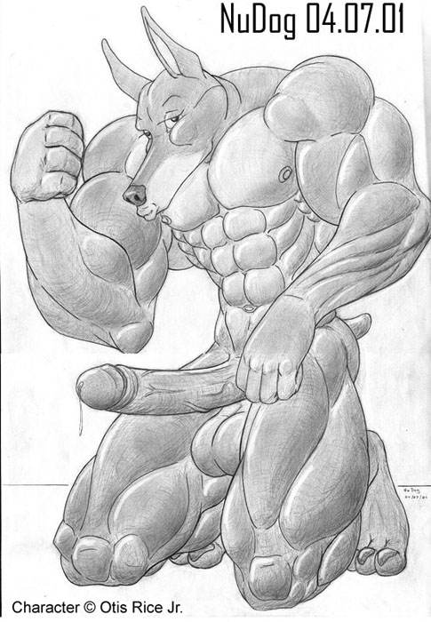 2001 anthro balls big_balls big_penis canid canine canis dobermann domestic_dog flexing greyscale humanoid_penis kneeling male male_only mammal monochrome muscular muscular_male nipples nude nudog penis pinscher plantigrade pose retracted_foreskin sketch solo uncut