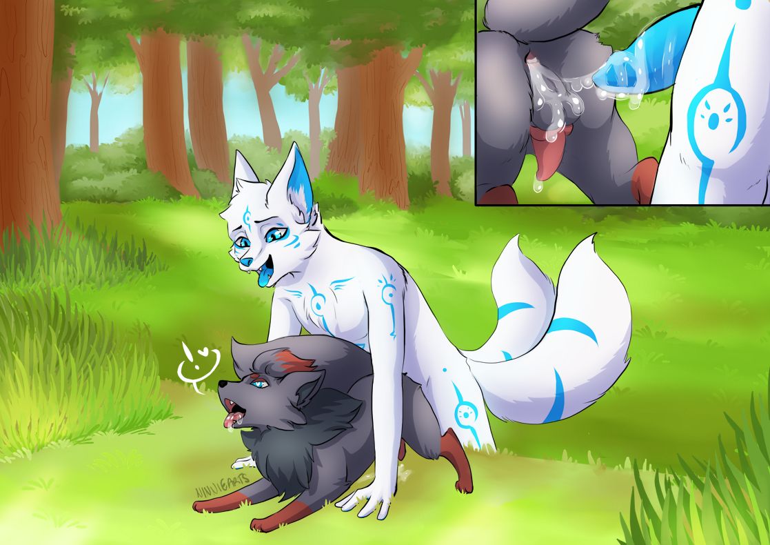 2019 2_tails anal anal_sex animal_genitalia animal_penis anthro anthro_on_feral anthro_penetrating anthro_penetrating_feral anus ass balls blue_eyes bodily_fluids canid canine canine_penis cattsun cum cum_in_ass cum_inside cum_on_balls cum_on_ground cum_on_penis day detailed_background drooling duo erection etis feral forest fox from_behind_position fur genital_fluids grass grey_body grey_fur hands-free heart heart-shaped_pupils knot male male/male male_on_feral male_penetrated male_penetrating male_penetrating_male mammal markings multi_tail multicolored_body multicolored_fur nature nintendo nude open_mouth orgasm original_character outside penetration penis pokémon_(species) pokemon pokemon_(species) saliva sex size_difference smaller_male smile tongue tongue_out tree two_tone_body two_tone_fur video_games white_body white_fur young zoophilia zorua