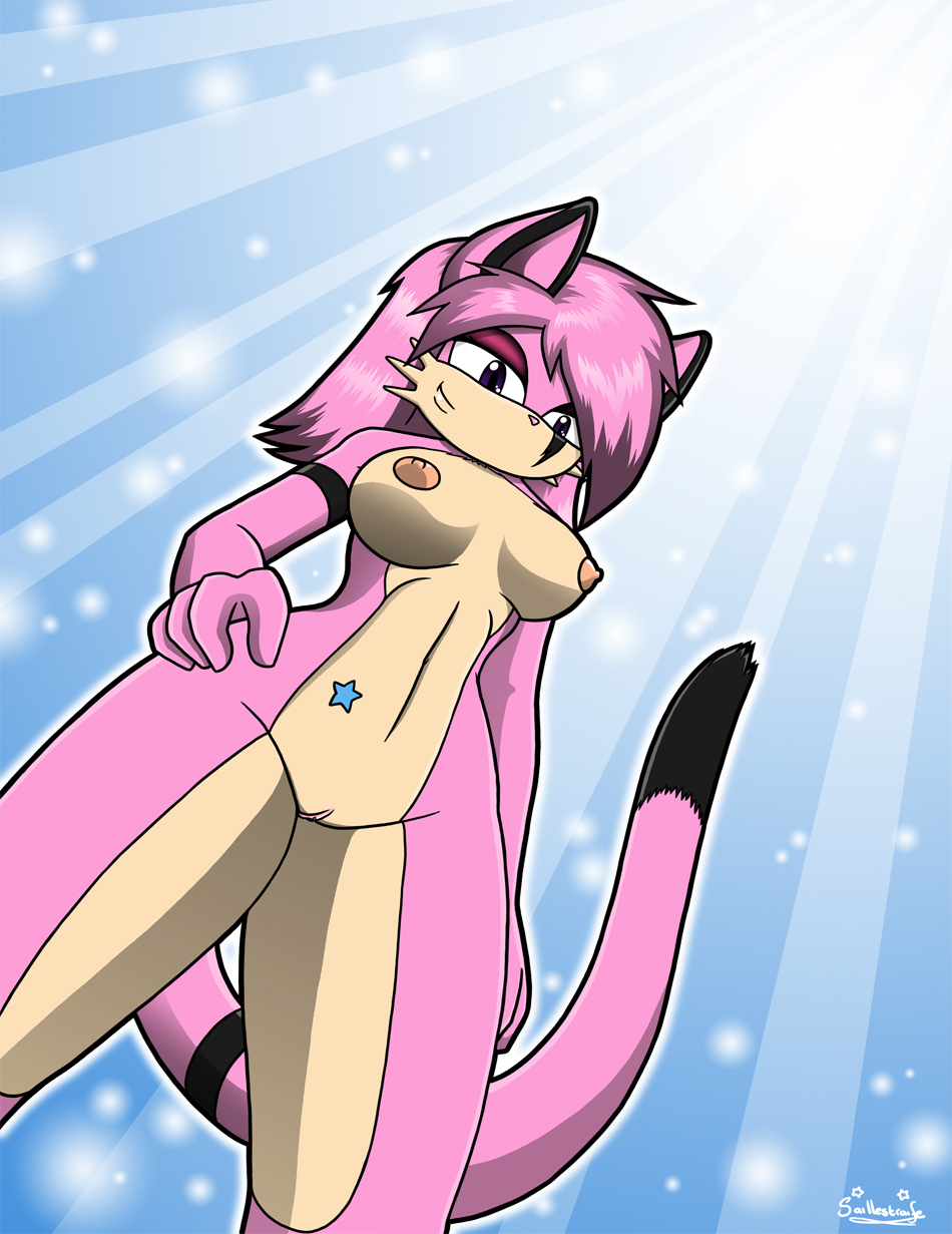 2010 breasts domestic_cat fan_character felid feline felis female hi_res low-angle_view mammal purple_eyes pussy saillestraife solo sonic_(series) sonic_the_hedgehog_(series) worm's-eye_view