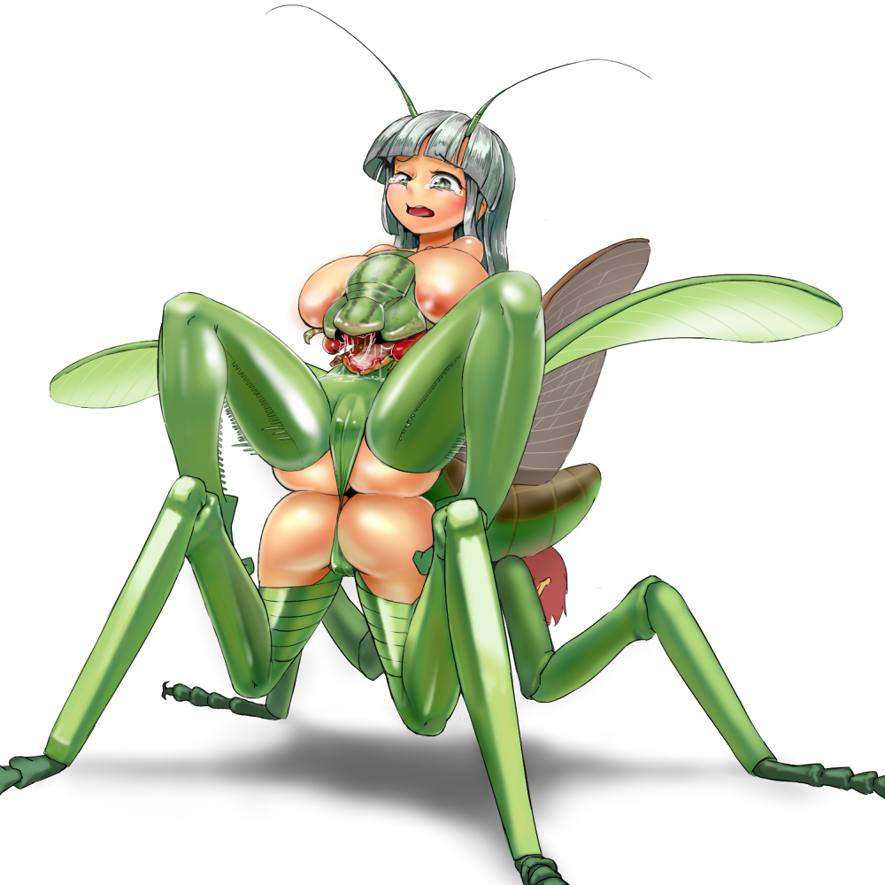 1:1 2015 antennae_(anatomy) arthropod ass bodily_fluids breasts cameltoe crying female hair insect_wings insects mantis mo_dame_kuuki monster multi_head multi_mouth red_hair silver_hair simple_background spread_legs spreading tears what white_background wings