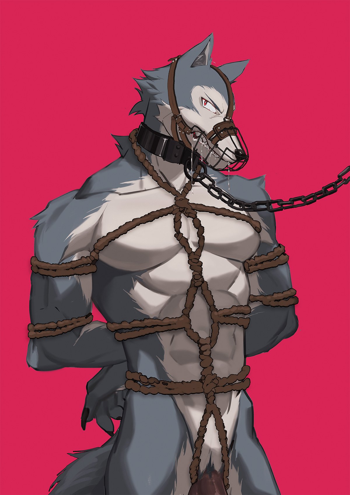 abs angry arms_tied baring_teeth beastars bodily_fluids bondage bound canid canine canis collar drooling furry hands_behind_back hi_res leash legoshi_(beastars) male_only mammal maotengo muzzle_(object) muzzled nude pecs penis red_background rope rope_bondage rope_harness saliva shackles simple_background teeth wolf