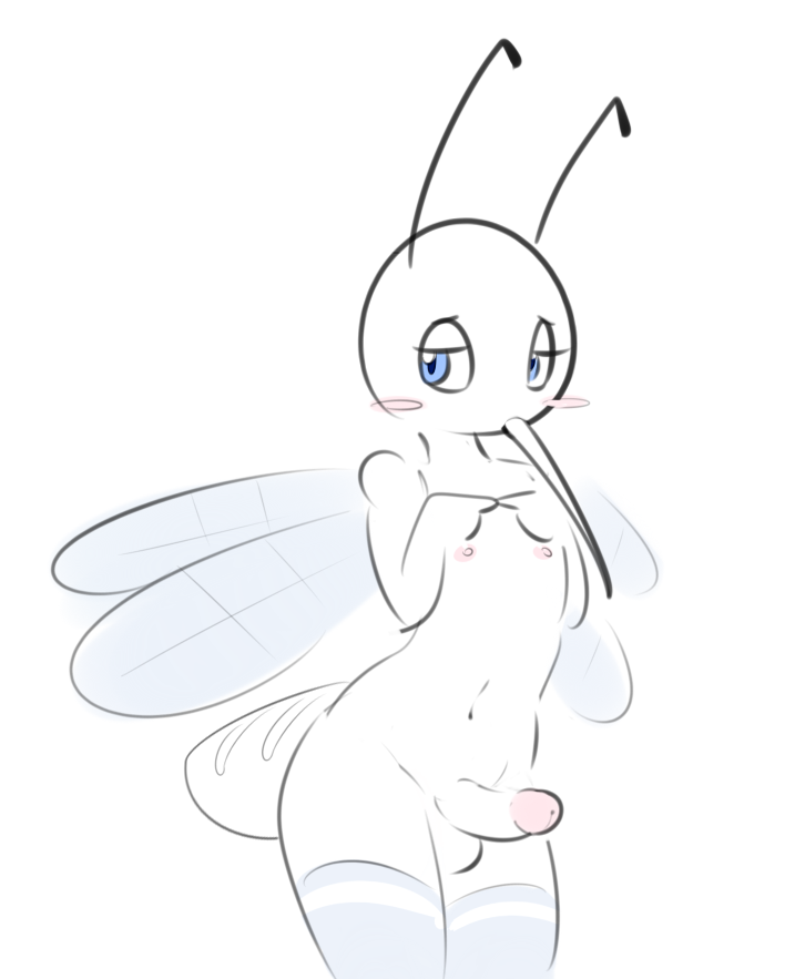 2019 antennae_(anatomy) anthro arthropod blush clothing elpatrixf erection femboy girly half-closed_eyes insect_wings insects legwear male male_only mosquito navel nipples penis simple_background socks solo trap vqcn white_background wings