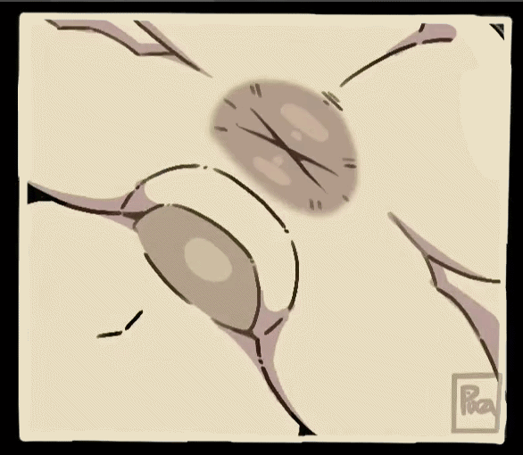 animated, anus, ashley graves, ass, ass grab, big ass, cum, cum in pussy, cum inside, futa on female, futadom, futanari, glory wall, incest, mother and daughter, orgasm, pinkrotten, pixzapix, pumping cum, renee graves, spread ass, the coffin of andy and leyley, vaginal penetration